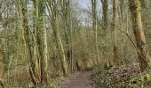 Trail Walking Dinant - Dinant: autour de la Citadelle.  - Photo 15