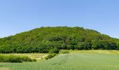 Tocht Te voet Höxter - Erlesene Natur - Dem Wasserdrachen auf der Spur - Photo 9