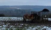 Trail Walking Rochefort - Jemelle - Photo 6