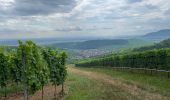 Tocht Elektrische fiets Osenbach - Vélo Osenbach Pfaffenheim Rouffach  - Photo 1