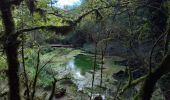 Randonnée Marche Nant - Sce du D'ourson Léa Cabanelles - Photo 17