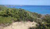 Tour Wandern es Mercadal - Port Addaia to Es Grau - Photo 13