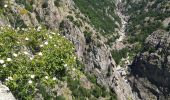 Trail Walking Villefort - Lac Villefort la Garde Guerin, lac de Villefort.(31-05-2020) - Photo 7