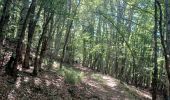 Trail Walking Saint-Geniez - S GENIEZ . ABROS . LA FOREST . COL DE MOUNIS . O L M - Photo 4