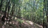 Tour Wandern Saint-Geniez - S GENIEZ . ABROS . LA FOREST . COL DE MOUNIS . O L M - Photo 4