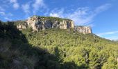 Tocht Stappen Le Revest-les-Eaux - Le Mont Caume  - Photo 1