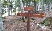 Trail Walking Saint-Julien-en-Beauchêne - Dorbon l'ancienne chartreuse  - Photo 17