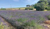 Tour Wandern Valvignères - Valvignères -Boucle des Caveaux 7km - Photo 2