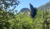 Tour Wandern La Javie - LA JAVIE,  Esclangon , vieil Esclangon,  le Velodrome , passerelle du Bes, Facibelle , Tanaron o n l s  - Photo 4