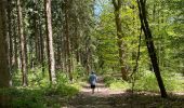 Tocht Stappen Trooz - Trou du renard  fond des trois bois - Photo 2