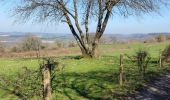 Trail Walking Durbuy - Heyd avec le chemin des crêtes  - Photo 9