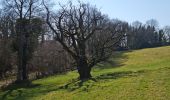 Trail Walking Levoncourt - Sortie les Copains d'abord.. 24/03/2022 - Photo 17