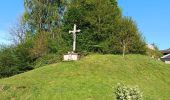 Trail Walking Williers - chameleux - Photo 3
