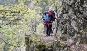 Tocht Stappen Sondernach - 2023-05-19 WE Marche Bivouac Massif du Hohneck - Photo 9