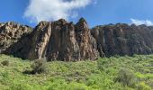 Tocht Stappen Santa Brígida - Cratère de Bandama (Gran Canaria) - Photo 14