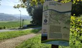 Trail Walking Cambo-les-Bains - CAMBO la colline de la bergerie  - Photo 1