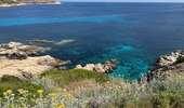 Trail Walking Calvi - Calvi : Pointe de revellata - Photo 9