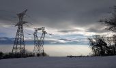 Trail Nordic walking Seyssins - Seyssins le haut - Les Arcelles dans la neige - Photo 1