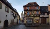 Percorso Marcia Saint-Hippolyte - St Hippolyte - Bergheim - château Reichenberg - Photo 11