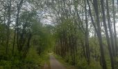 Tour Wandern Lüttich - île Rousseau . Tilff . Colonster . ruisseau blanc gravier - Photo 15