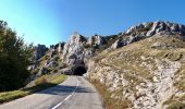 Tour Wandern Omblèze - Plateau d'Ambel (le tour) - Photo 3