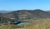 Trail  Bormes-les-Mimosas - Barrage du trépan la louve - Photo 3