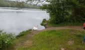 Tocht Stappen Saint-Julien-du-Sault - saint julien du Sault/La Maladrerie - Photo 1