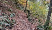 Trail Nordic walking Florenville - Herbeument 9km heen en terug  - Photo 8