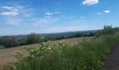 Trail Nordic walking Herve - Battice_Fort - Photo 14