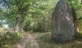 Tour Elektrofahrrad Sébrazac - gohinlac itinéraire 5 + retour Estaing par gr6 - Photo 1