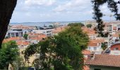 Tocht Andere activiteiten Arcachon - Arcachon - Ville d'hivers en train - Photo 7