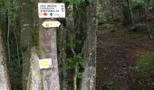 Trail Walking Wangenbourg-Engenthal - 20190728 - Photo 1