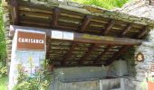 Excursión A pie Bognanco - Via Stockalper tappa 3 IT - Photo 3