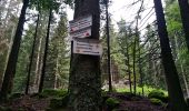 Tour Wandern Urbeis - Les deux lacs - Photo 18