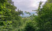 Tour Wandern Esneux - esneux . ham . roche aux faucons par les petits chemins  - Photo 18