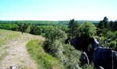 Tocht Te voet Viroinval - La Roche aux Faucons - Photo 1