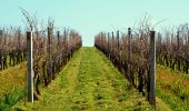 Percorso Marcia Bormes-les-Mimosas - SityTrail - Barrage du Trapan - Estagnol - Pellegrin - Photo 15