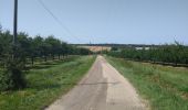 Percorso Marcia Lévignac-de-Guyenne - A travers les champs et vergers au sud de Lévignac De Guyenne - Photo 3