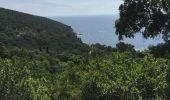 Tocht Stappen Cavalaire-sur-Mer - Cavalaire 2  - Photo 16