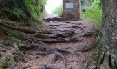 Trail Walking Philippsbourg - chateaux falckenstein - Waldeck - Photo 10