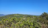 Tour Wandern Collobrières - plateau Lambert en partant de Collobrieres - Photo 6