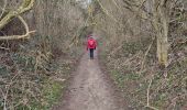 Trail Walking Ninove - Galgenveld - Photo 5