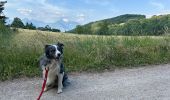 Trail Walking Claix - Colline de Comboire - Photo 17