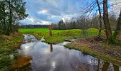 Randonnée Marche Vielsalm - Balade à Salmchateau - Photo 18