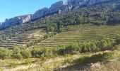 Randonnée Marche Gigondas - les antennes de montmirail - Photo 1