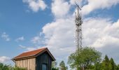 Tour Zu Fuß Steinheim - Rundwanderweg A5 [Sandebeck] - Photo 1