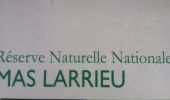 Percorso Marcia Argelès-sur-Mer - mas larrieux automnal rive elne - Photo 18