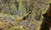 Tour Wandern Dinant - Dinant - Anseremme - Photo 11