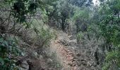 Trail Walking Duilhac-sous-Peyrepertuse - boucle moulin de ribaute - duilhac - gorge du verdouble  - Photo 2