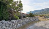 Tour Wandern Opoul-Périllos - cauna roja . perillos . château d´opoul  - Photo 8